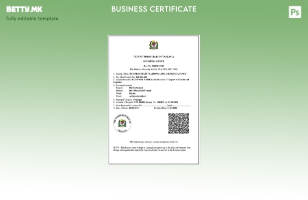 модерен стил во Танзанија за деловна лиценца за шаблон за Word и PDF